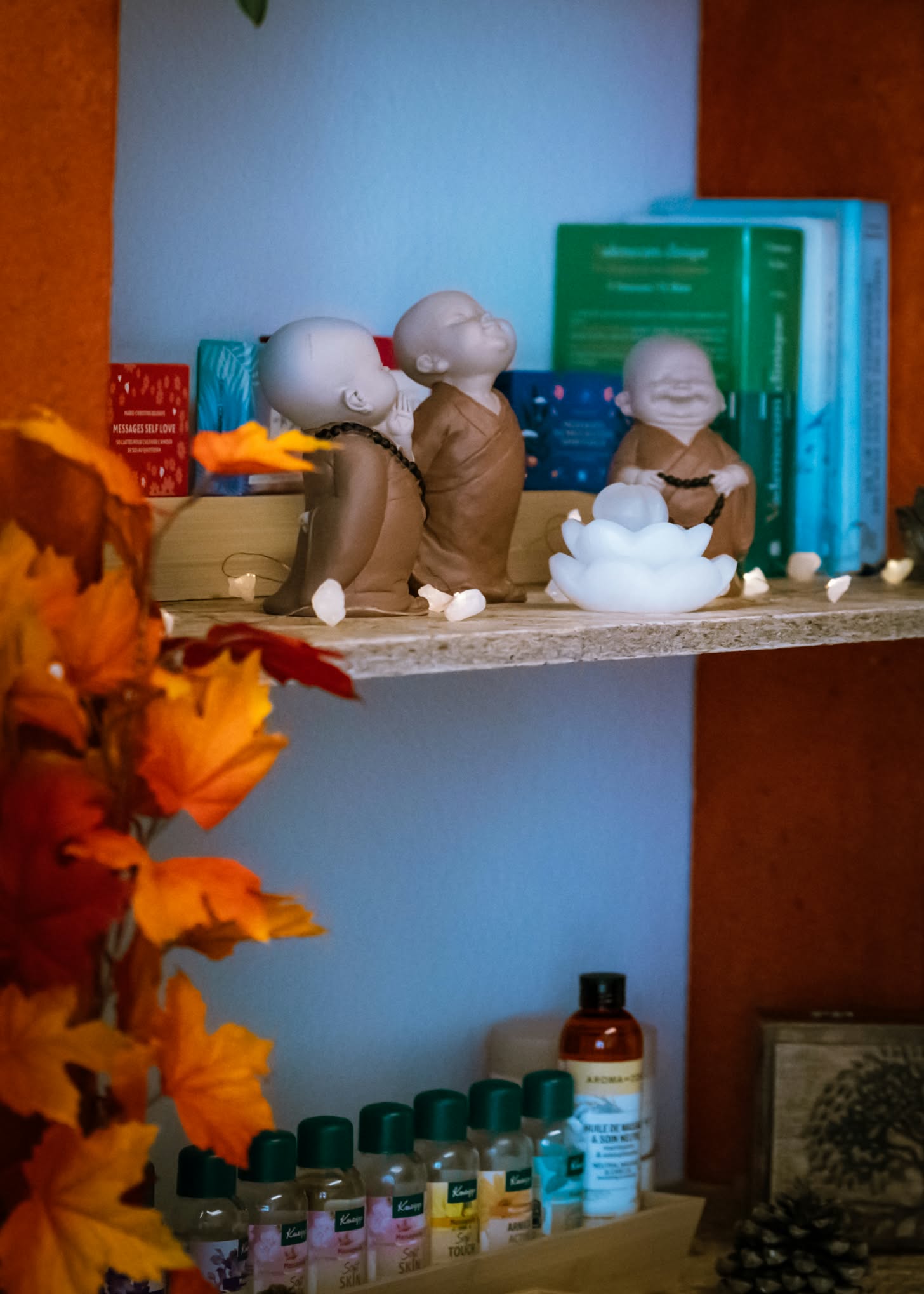 Détails de l’étagère du cabinet, livres et figurines